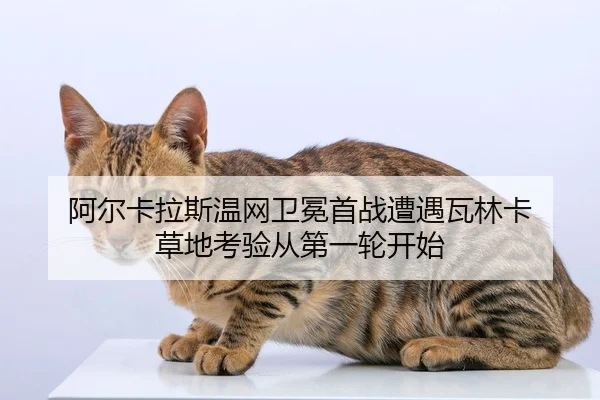a-er-ka-la-si-wen-wang-wei-mian-shou-zhan-zao-yu-wa-lin-ka-cao-di-kao-yan-cong-di-yi-lun-kai-shi-2-347.jpg